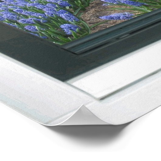 Hyacinth Flowers Spring Faux Window Uitzicht Poste Poster (Hoek)