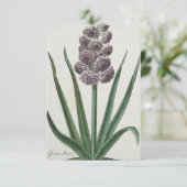 Hyacinth (Gloria Mundi) Kaart (Staand voorkant)