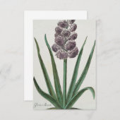 Hyacinth (Gloria Mundi) Kaart (Voorkant / Achterkant)