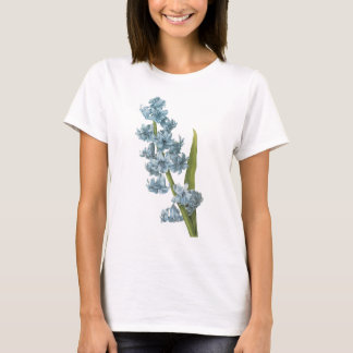hyacinth (Hyacinthus sp.) van Redouté T-shirt
