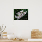 Hyacinth in Bloom Print (Keuken)