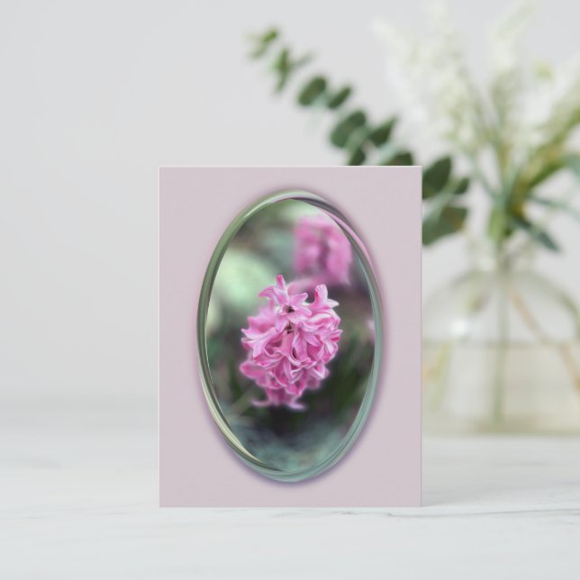 Hyacinth in de lente (Staand voorkant)