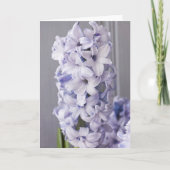 Hyacinth Kaart (Voorkant)