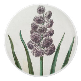 Hyacinth Keramische Knop