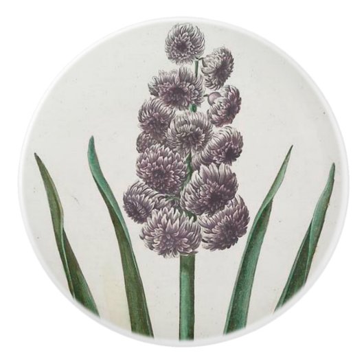 Hyacinth Keramische Knop (Voorkant)