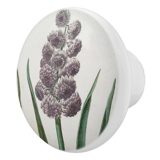 Hyacinth Keramische Knop (Rechts)