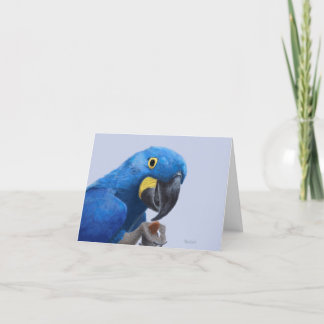 Hyacinth Macaw Aanmoediging JW Bedankkaart
