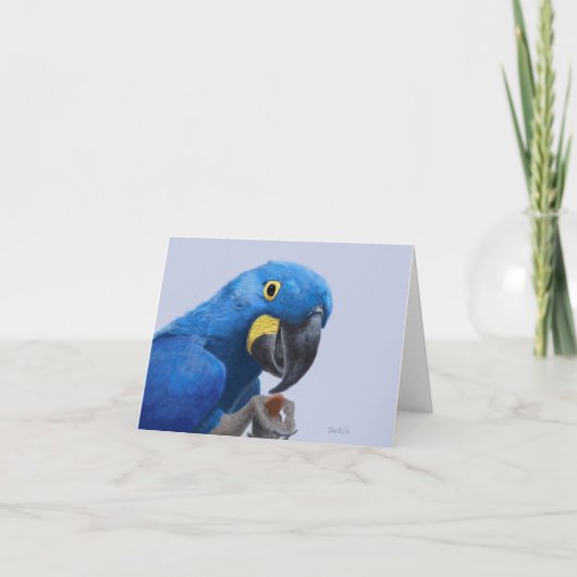 Hyacinth Macaw Aanmoediging JW Bedankkaart (Voorkant)