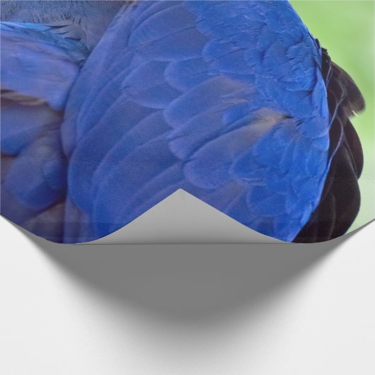 Hyacinth Macaw Bird Cadeaupapier (Hoek)