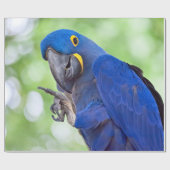 Hyacinth Macaw Bird Cadeaupapier (Vlak)