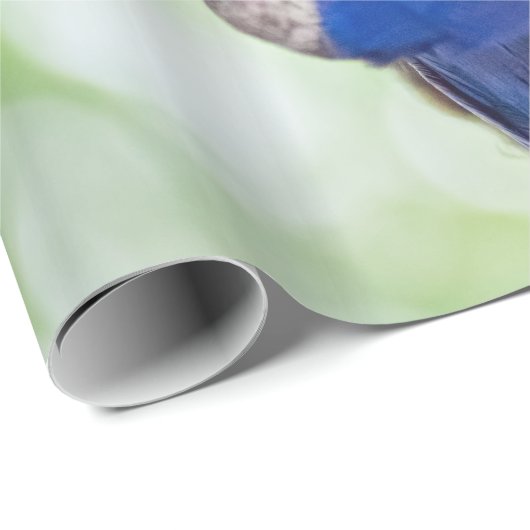 Hyacinth Macaw Bird Cadeaupapier (Rol Hoek)