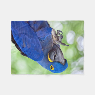 Hyacinth Macaw Bird Fleece Deken