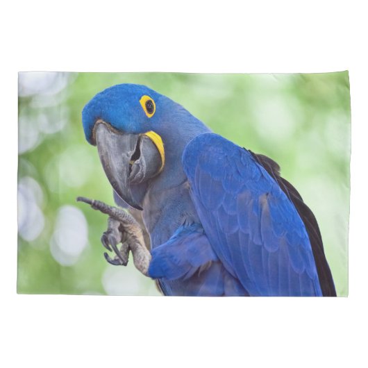 Hyacinth Macaw Bird Kussensloop (Achterkant)