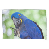 Hyacinth Macaw Bird Kussensloop (Voorkant)