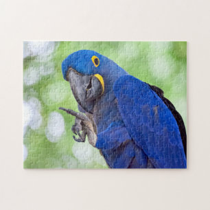 Hyacinth Macaw Bird Legpuzzel