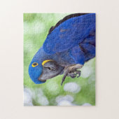 Hyacinth Macaw Bird Legpuzzel (Verticaal)