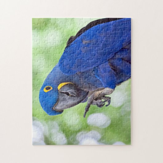 Hyacinth Macaw Bird Legpuzzel (Verticaal)