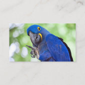 Hyacinth Macaw Bird Visitekaartje (Achterkant)