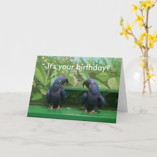 Hyacinth Macaw Birthday Kaart (Gele Bloem)