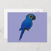 Hyacinth Macaw Briefkaart (Voorkant / Achterkant)