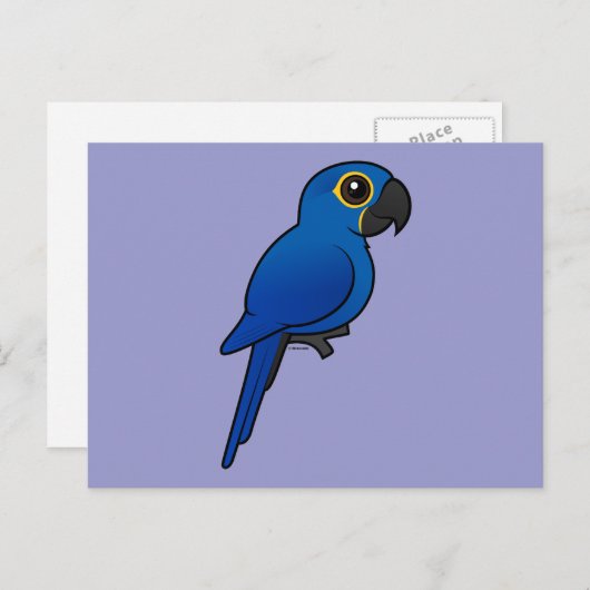 Hyacinth Macaw Briefkaart (Voorkant / Achterkant)