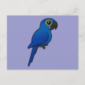 Hyacinth Macaw Briefkaart (Voorkant)