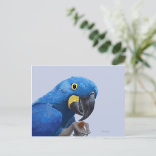 Hyacinth Macaw Briefkaart (Staand voorkant)