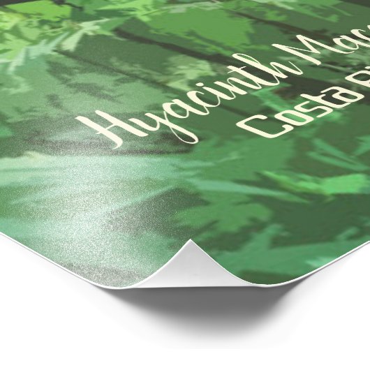 Hyacinth Macaw Costa Rica Design Poster (Hoek)