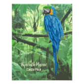 Hyacinth Macaw Costa Rica Design Poster (Voorkant)