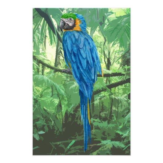 Hyacinth Macaw Design Foto Uitbreiding Foto Afdruk (Voorkant)