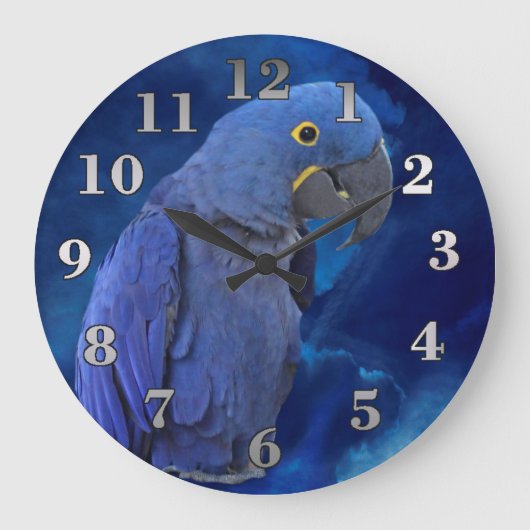 Hyacinth Macaw Grote Klok (Voorkant)
