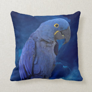 Hyacinth Macaw Kussen
