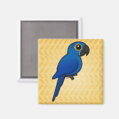Hyacinth Macaw Magneet (Voorkant / Achterkant)