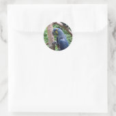 Hyacinth Macaw Ronde Sticker (Tas)