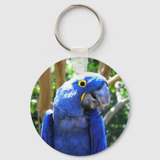 Hyacinth Macaw Sleutelhanger (Voorkant)
