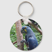 Hyacinth Macaw Sleutelhanger (Voorkant)