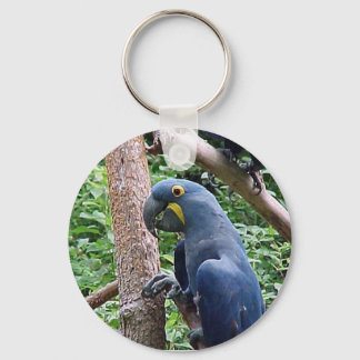 Hyacinth Macaw Sleutelhanger