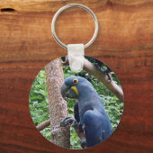 Hyacinth Macaw Sleutelhanger (Voorkant)