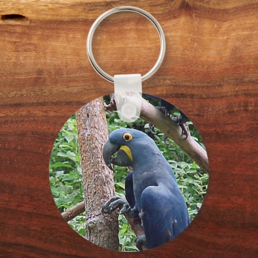 Hyacinth Macaw Sleutelhanger (Voorkant)