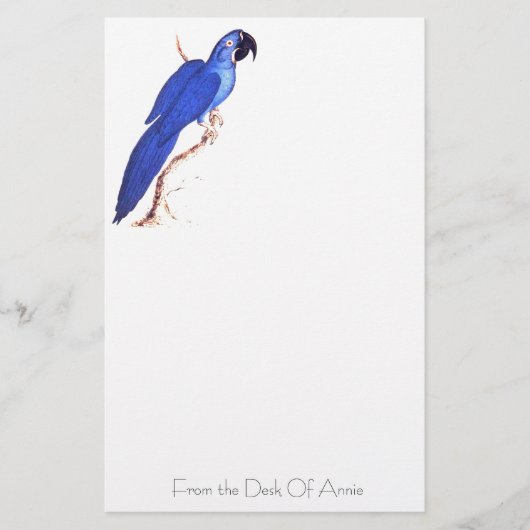 Hyacinth Macaw Stationery Briefpapier (Voorkant)