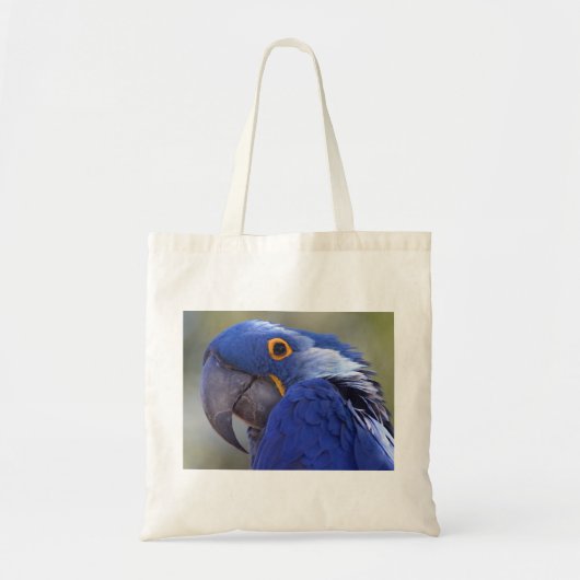 Hyacinth Macaw Tote Bag (Voorkant)
