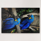 Hyacinth Macaws Anodorhynchus Legpuzzel (Horizontaal)