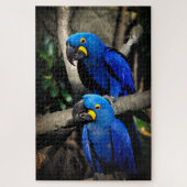 Hyacinth Macaws Anodorhynchus Legpuzzel (Verticaal)