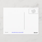 Hyacinth Macaws foto van JLH Briefkaart (Achterkant)