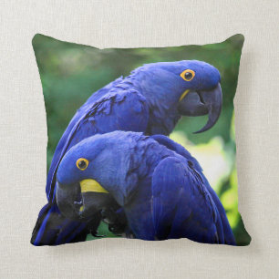 Hyacinth Macaws Kussen
