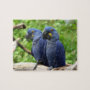 Hyacinth Macaws Legpuzzel