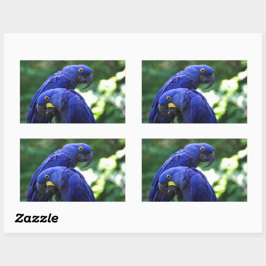 Hyacinth Macaws Rechthoekige Sticker (Vel)