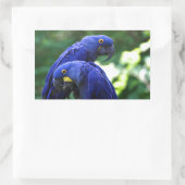 Hyacinth Macaws Rechthoekige Sticker (Tas)