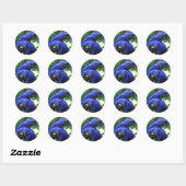 Hyacinth Macaws Ronde Sticker (Vel)