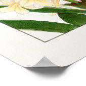 Hyacinth, Paarse White & Yellow Flowers van Konan, Poster (Hoek)